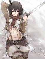 attack_on_titan_-_mikasa_20130914_053.jpg